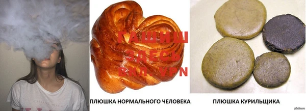 гидра Белокуриха
