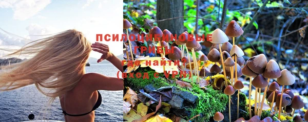 кокаин премиум Богородицк
