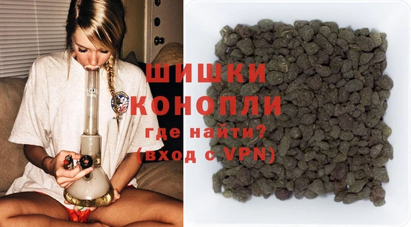 гидра Белокуриха