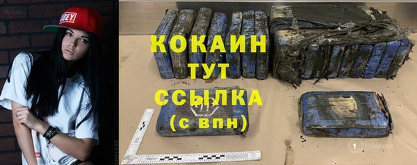 гидра Белокуриха