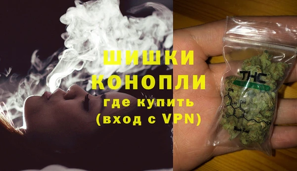 гидра Белокуриха