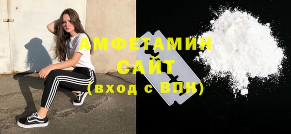 ГАЛЛЮЦИНОГЕННЫЕ ГРИБЫ Богданович