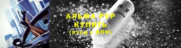 гидра Белокуриха